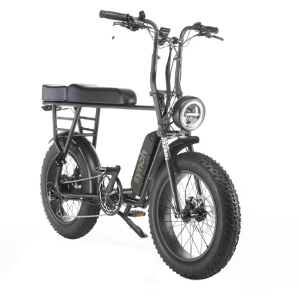 Synch Long Tail Super Monkey Electric Bike
